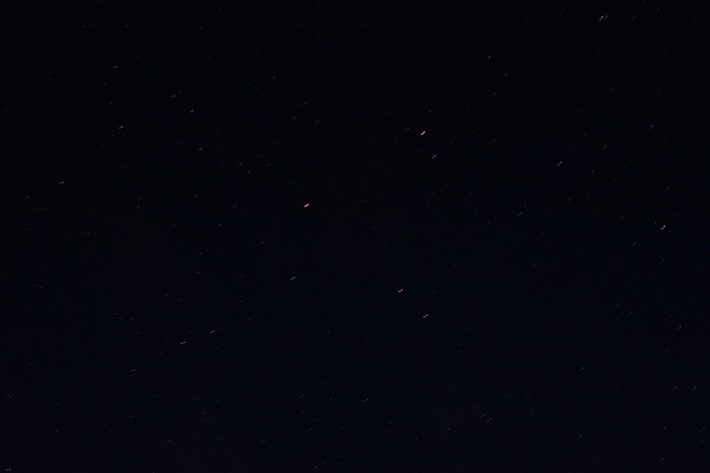 DSC_0020